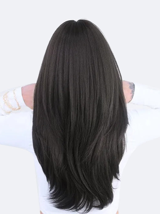 Handmade Lace Wigs, Hair Straight, Human Hair Black Lace Wigs, Hair Extensions, Lace Wigs